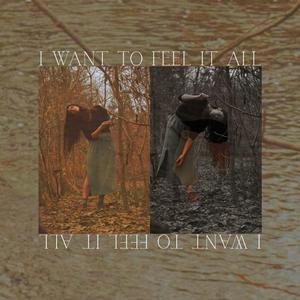 I Want To Feel It All