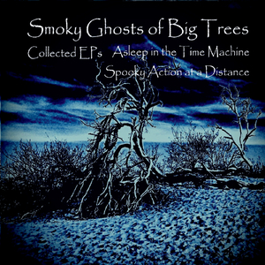 Apgujeong Rodeo (Ave Korea)