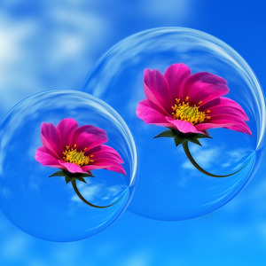 シャンプーの匂い