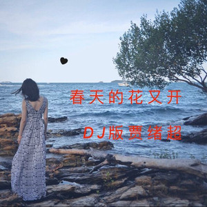 春天的花又开（DJ贾绪超版）