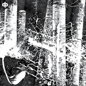 i see better with my eyes closed - ich kann gar nicht so viel fressen wie ich kotzen möchte