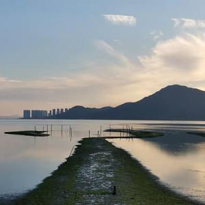 蓝眼泪（片段）