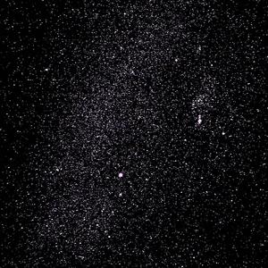 As The Sun Shines Through The Trees