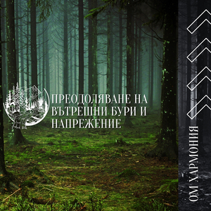 Космическа Виняса