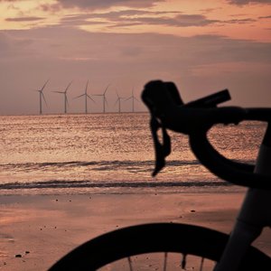 自由是自己所书写