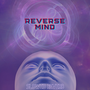 Sensations (Slowed & Reverb)