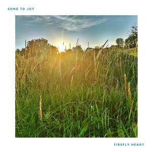 Song to Joy