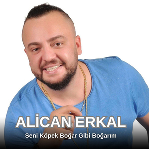 Seni Köpek Boğar Gibi Boğarım