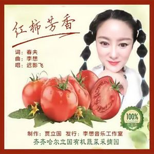 红柿芳香