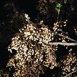 Dins es vent (feat. Aina Tramullas)