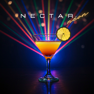 Le coucher du soleil (Trance Mix)