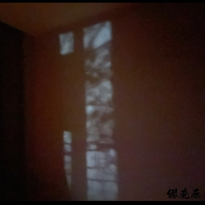 不要温和地走进那良夜
