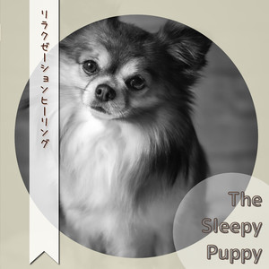 A Prayer for the Stars