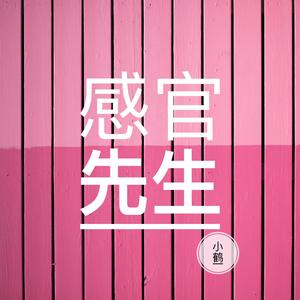 感官先生（慵懒男版）（翻自 嗨唱转起来）