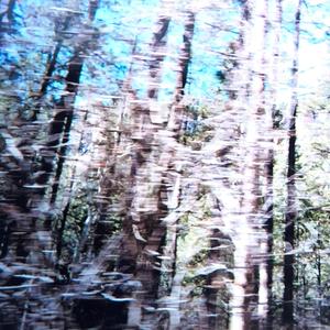 Northwood (Paint Over Paint Over Paint)