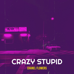 Crazy Stupid