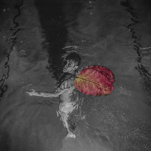 Through Dusk, at Dawn