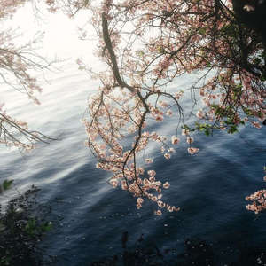 因为是我（前奏）