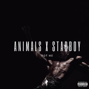 Animals x Starboy (Slowed to Perfection)