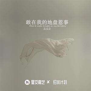 敢在我的地盘惹事