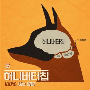 허니버터칩 100% 사는 방법
