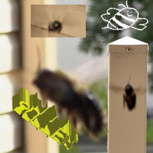 POLLEN