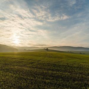 Fields