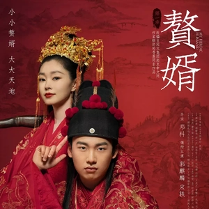 放飞（《赘婿》主题曲）（翻自 Vae）