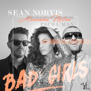 Bad Girls (Radio Edit)