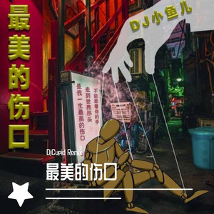 DJ小鱼儿 YT-最美的伤口（DjCupid remix）
