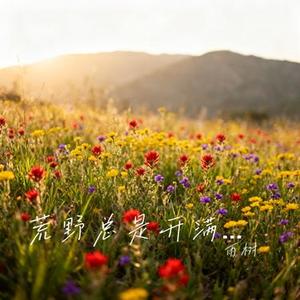 荒野总是开满花 (Cover 小祺)