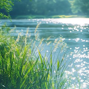 假如婚姻回到开始