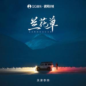 兰花草 (DJLHN版)