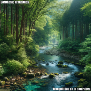 La melodía del agua