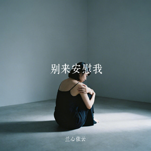 别来安慰我