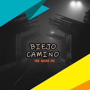 BIEJO CAMINO