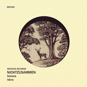 Sakura (Original Mix)