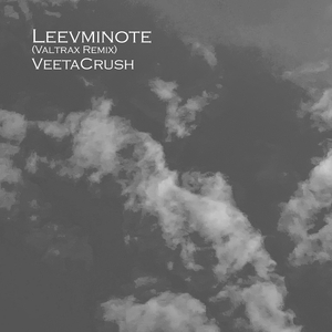 Leevminote (Valtrax Remix)