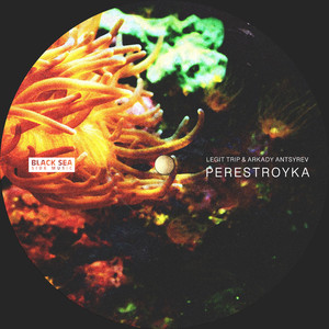Asian Rustle (Original Mix)