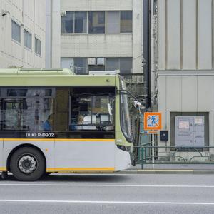 路过街道餐馆商铺还有路边的树