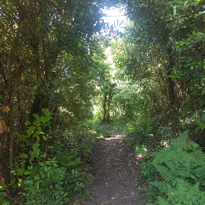 Vámonos (Acoustic Version)