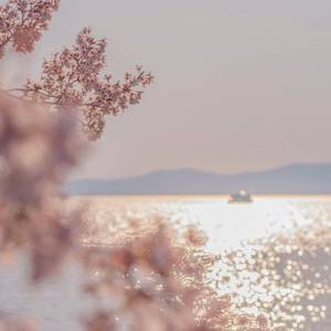 从前和往后的我们