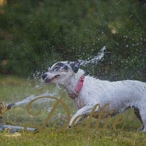 I Love The Way You Love