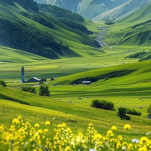 《极简琴音与白噪交织的编程之境11