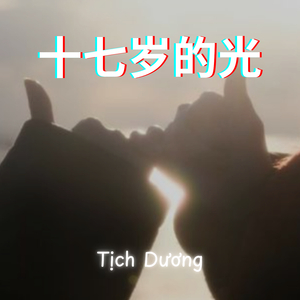 十七岁的光