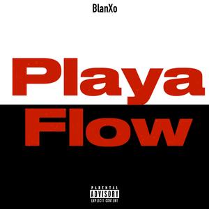 PlayaFlow