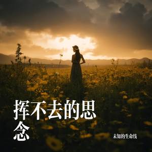 挥不去的思念
