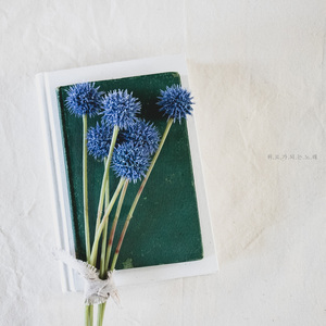 위로가 되는 노래