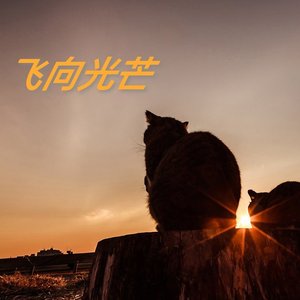 飞向光芒