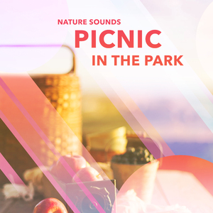 Original Forest Life